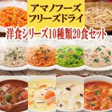 洋食シリーズ（リゾット・パスタ・シチュー）10種類20食セット