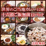 送料無料　世界のご当地カレー 12種類＆十六穀ごはん 無菌パック 12個