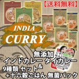 送料無料　無添加 本格インドカレー & タイカレー 9種類 セット＆十六穀ごはん 無菌パック 9個