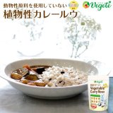 ノンアレルギー 植物性カレールウ Vegete(ベジテ) 140g 甘口 グルテンフリー 無添加