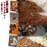 近畿の厳選レトルトカレー4種8食セット